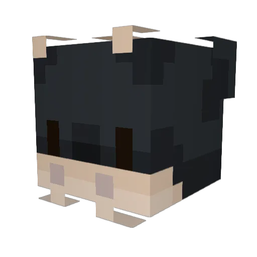 Pataaato Minecraft avatar head, 3D render