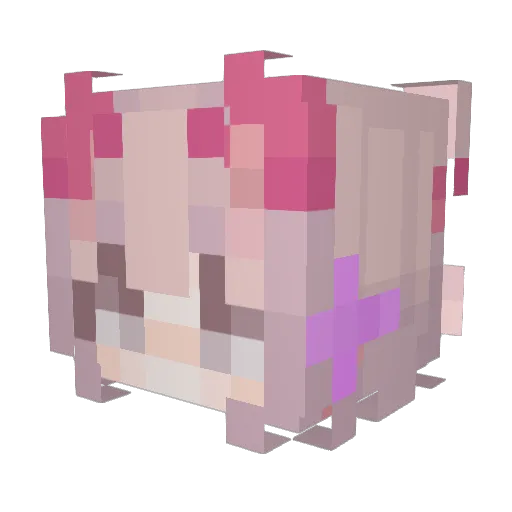 Patabulle Minecraft avatar head, 3D render