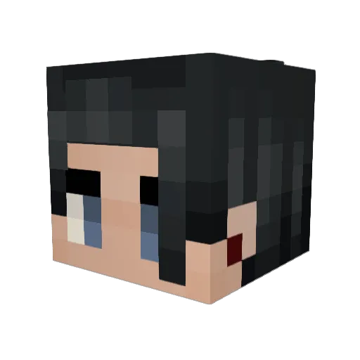 Patadepato Minecraft avatar head, 3D render