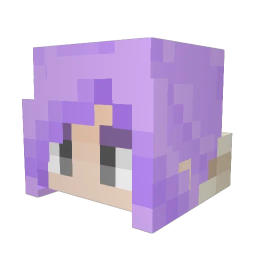 Patadorea Minecraft avatar head, 3D render