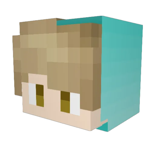 Patangie Minecraft avatar head, 3D render