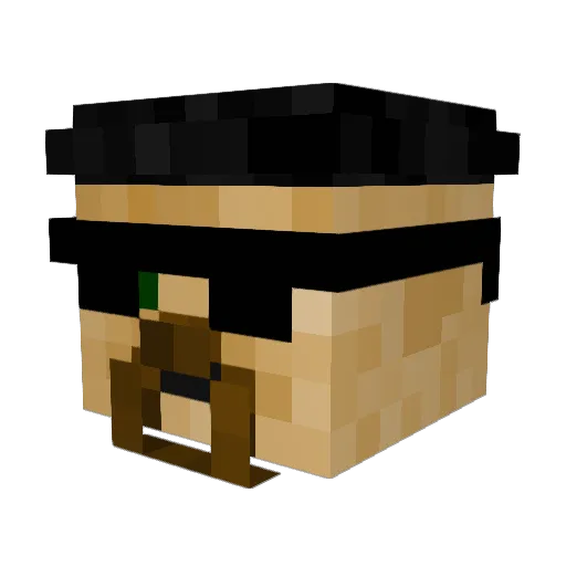 PatasekKonipasek Minecraft avatar head, 3D render