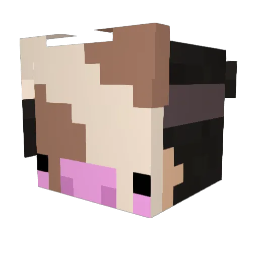 Patata_Cosmica2 Minecraft avatar head, 3D render