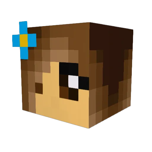 Patatje_Pindaaa Minecraft avatar head, 3D render