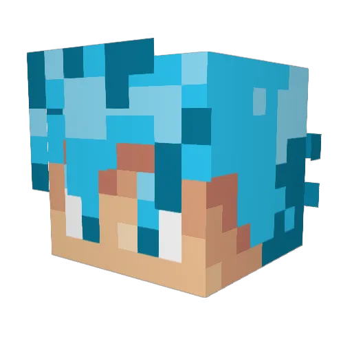 Patator24 Minecraft avatar head, 3D render