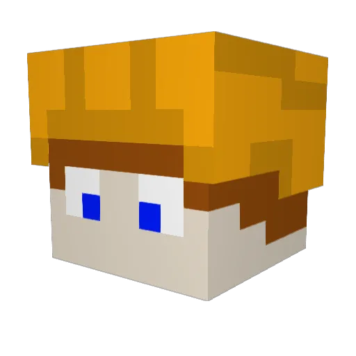 Patch242 Minecraft avatar head, 3D render