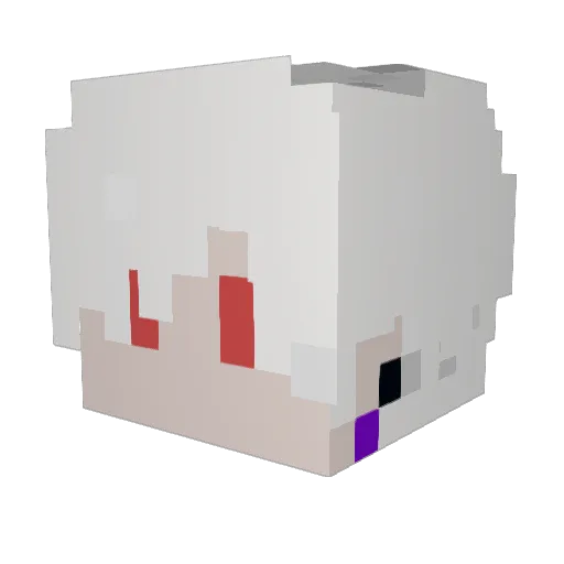 PatchesPossum Minecraft avatar head, 3D render