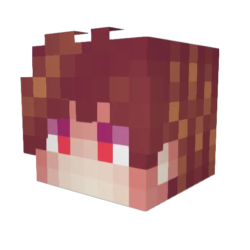Patchnotexd Minecraft avatar head, 3D render