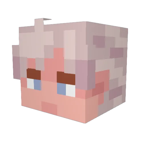 Patchsy Minecraft avatar head, 3D render