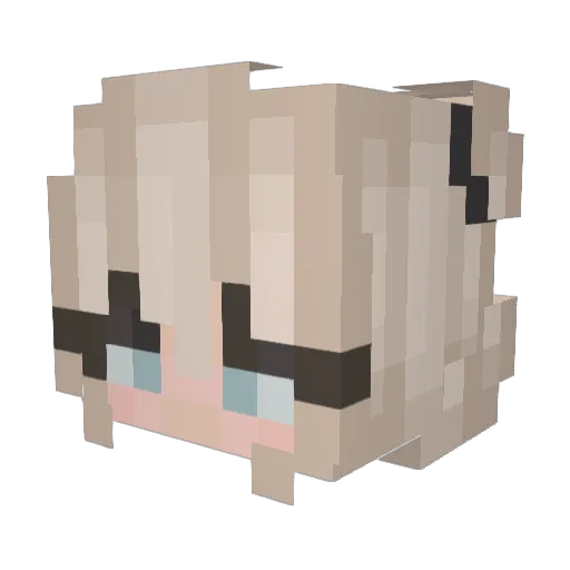 Patchwork616 Minecraft avatar head, 3D render