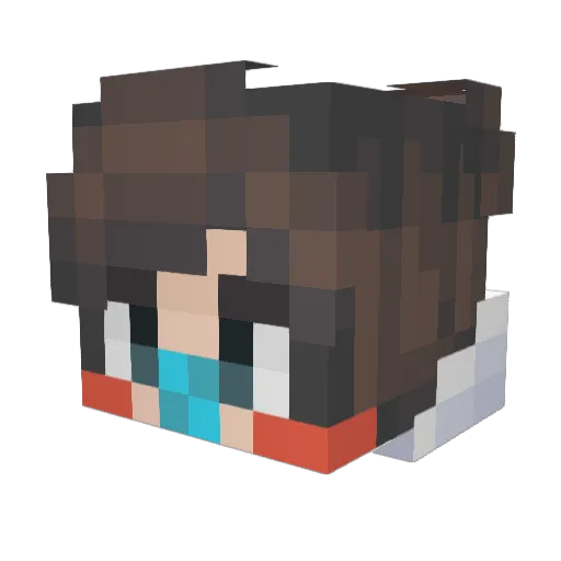 PatchworkBear Minecraft avatar head, 3D render