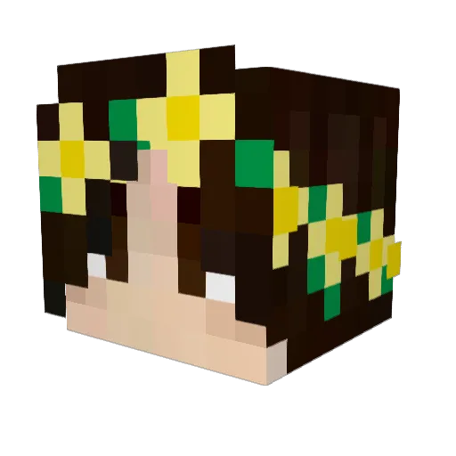 Patchy_AK Minecraft avatar head, 3D render