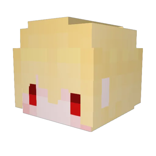 Pate____ Minecraft avatar head, 3D render