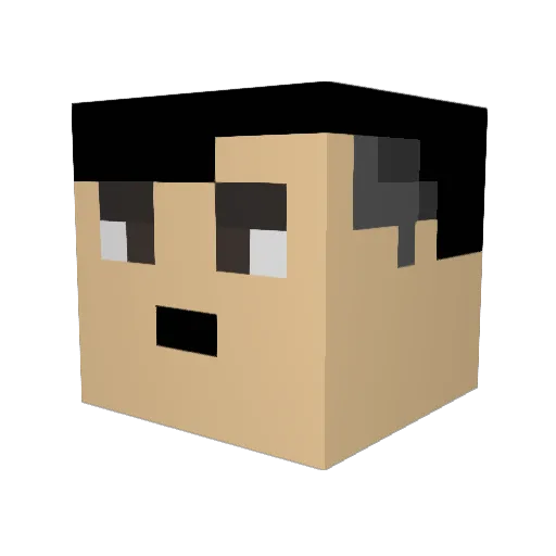 Pate_boy123 Minecraft avatar head, 3D render