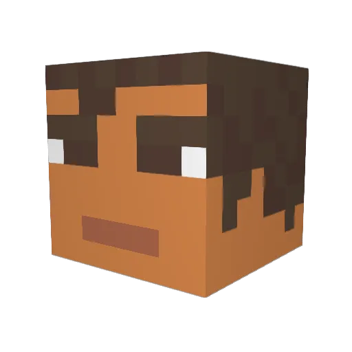 Pathak Minecraft avatar head, 3D render