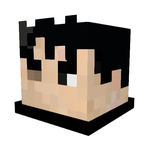 PatheticLosermf Minecraft avatar head, 3D render