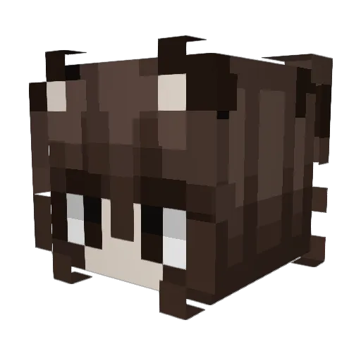 Pathetic_wet_cat Minecraft avatar head, 3D render