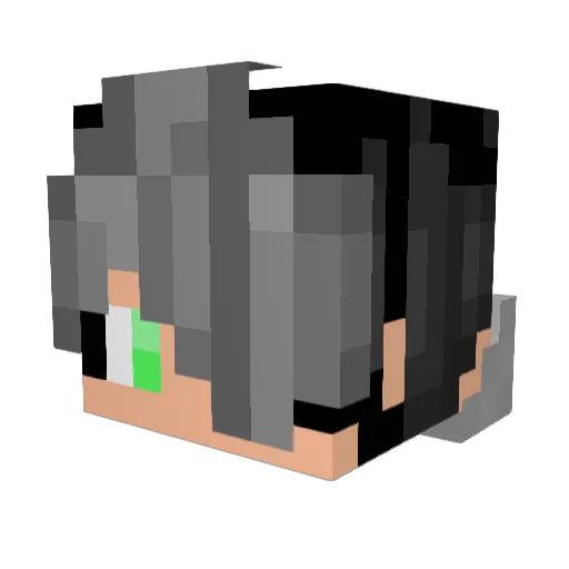 Pathfinder7541 Minecraft avatar head, 3D render