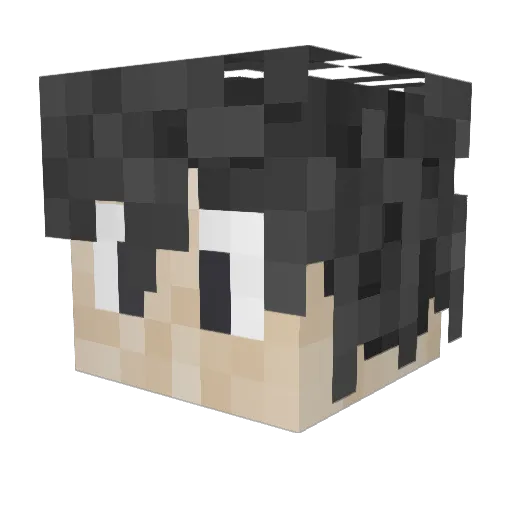 Pati3nc3 Minecraft avatar head, 3D render