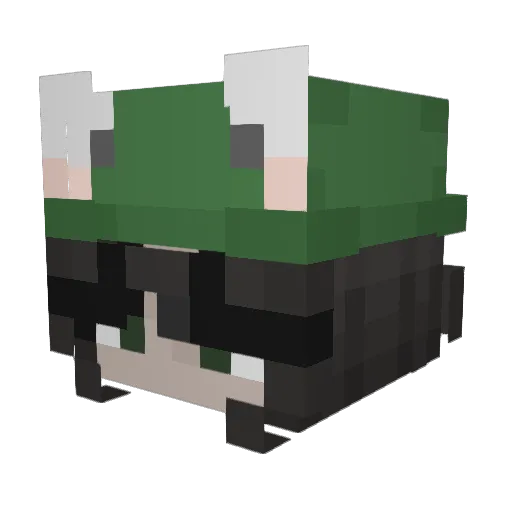 PatiKrul Minecraft avatar head, 3D render