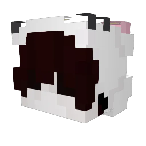 Pati_de13 Minecraft avatar head, 3D render