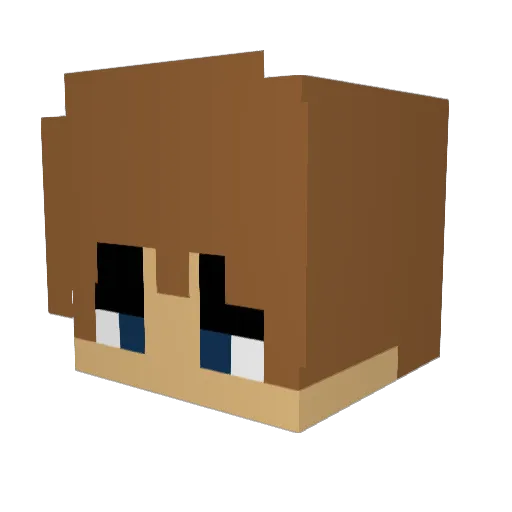 Patient_RaT Minecraft avatar head, 3D render