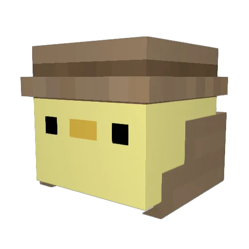 Patito77 Minecraft avatar head, 3D render