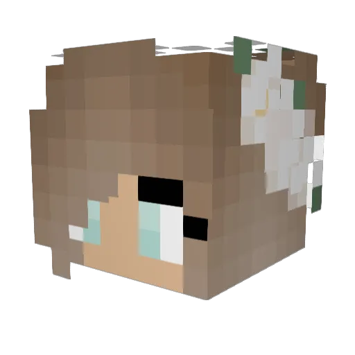 Patla Minecraft avatar head, 3D render