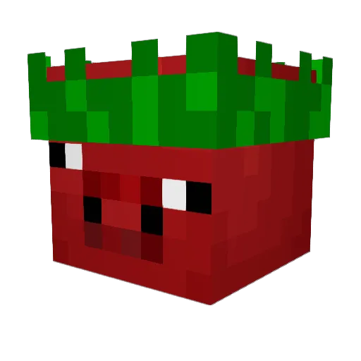 Patlajica Minecraft avatar head, 3D render