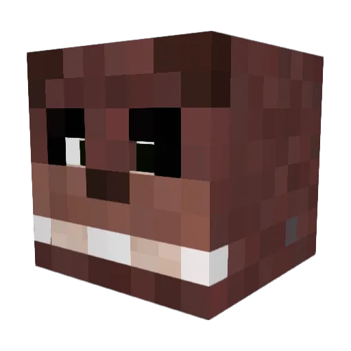 Patman506 Minecraft avatar head, 3D render