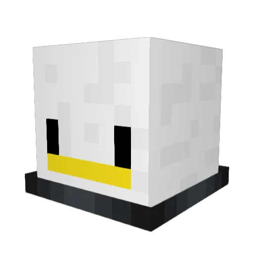Pato1420 Minecraft avatar head, 3D render