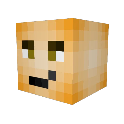 Pato7812 Minecraft avatar head, 3D render