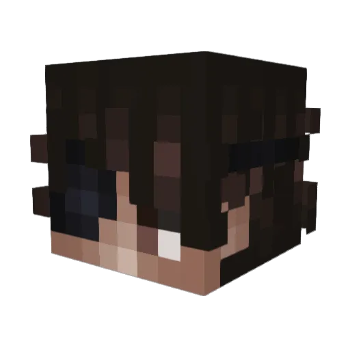 PatoBoo Minecraft avatar head, 3D render