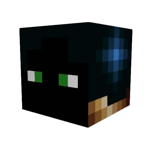 PatoBoy808 Minecraft avatar head, 3D render