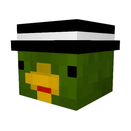 PatoFoda Minecraft avatar head, 3D render