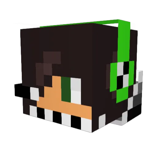 PatoParty Minecraft avatar head, 3D render