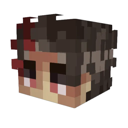PatoTruco1708 Minecraft avatar head, 3D render