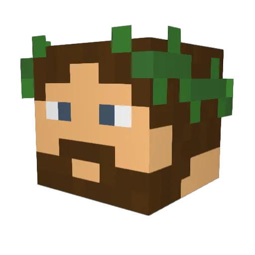 PatoYSapo Minecraft avatar head, 3D render