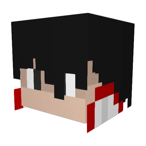 PatoZ2321 Minecraft avatar head, 3D render