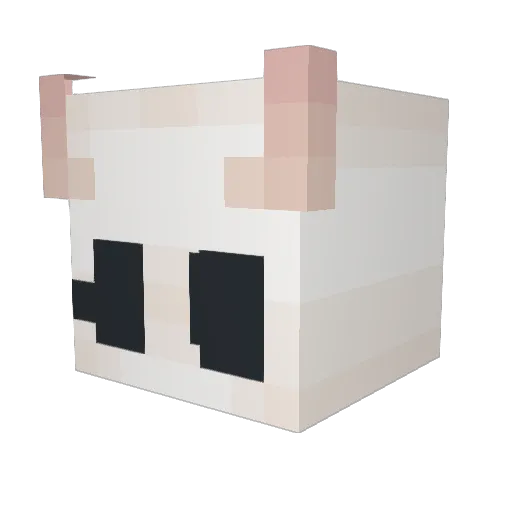 PatoZapato7 Minecraft avatar head, 3D render