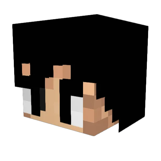 Pato_Barbon Minecraft avatar head, 3D render