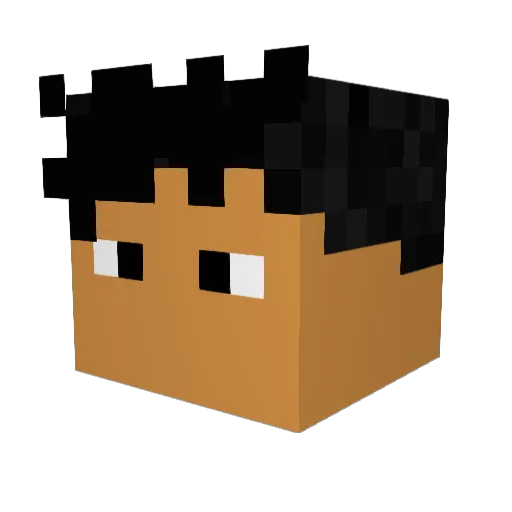 Pato_Salvaje Minecraft avatar head, 3D render