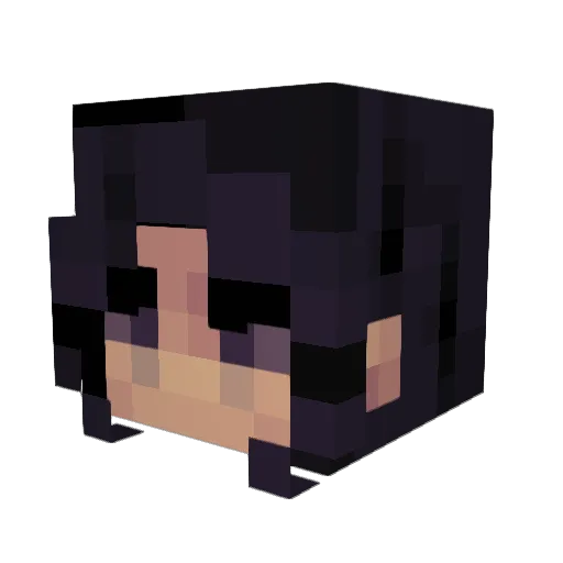 Patojita Minecraft avatar head, 3D render