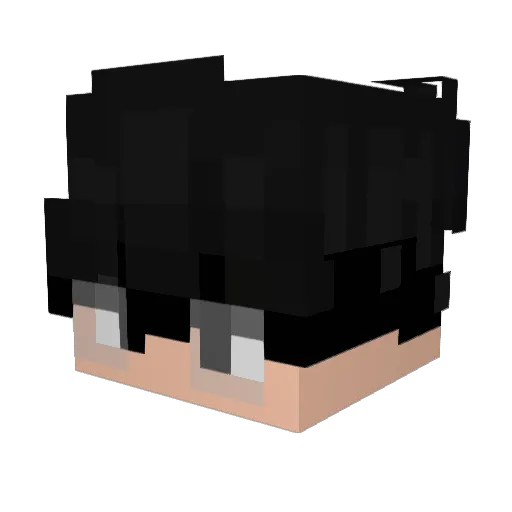 Patolinonub Minecraft avatar head, 3D render