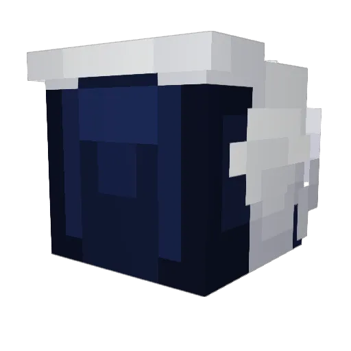 Patopro61 Minecraft avatar head, 3D render