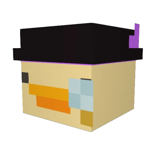 Patoseiala Minecraft avatar head, 3D render