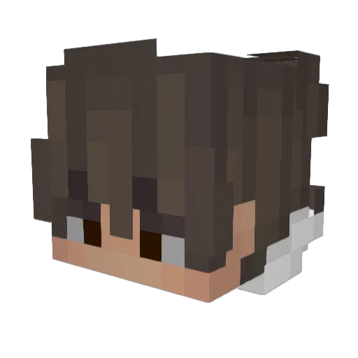 Patpako Minecraft avatar head, 3D render