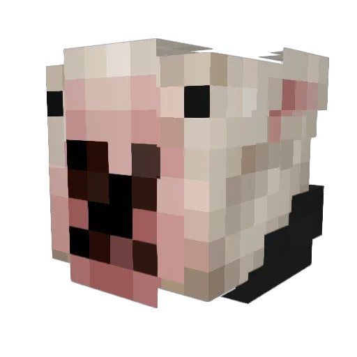 Patr1kkkk Minecraft avatar head, 3D render