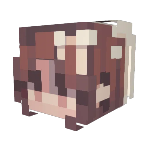 Patrice9982 Minecraft avatar head, 3D render