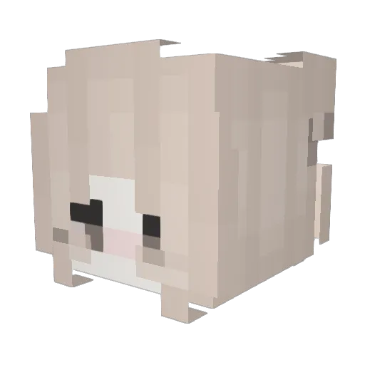 PatriciaR Minecraft avatar head, 3D render